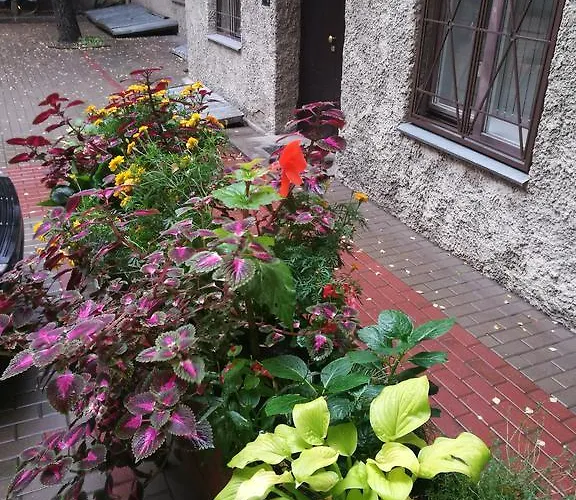 Sunny Esplanade By Old Town * Riga