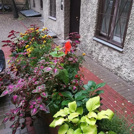 Sunny Esplanade By Old Town * 里加